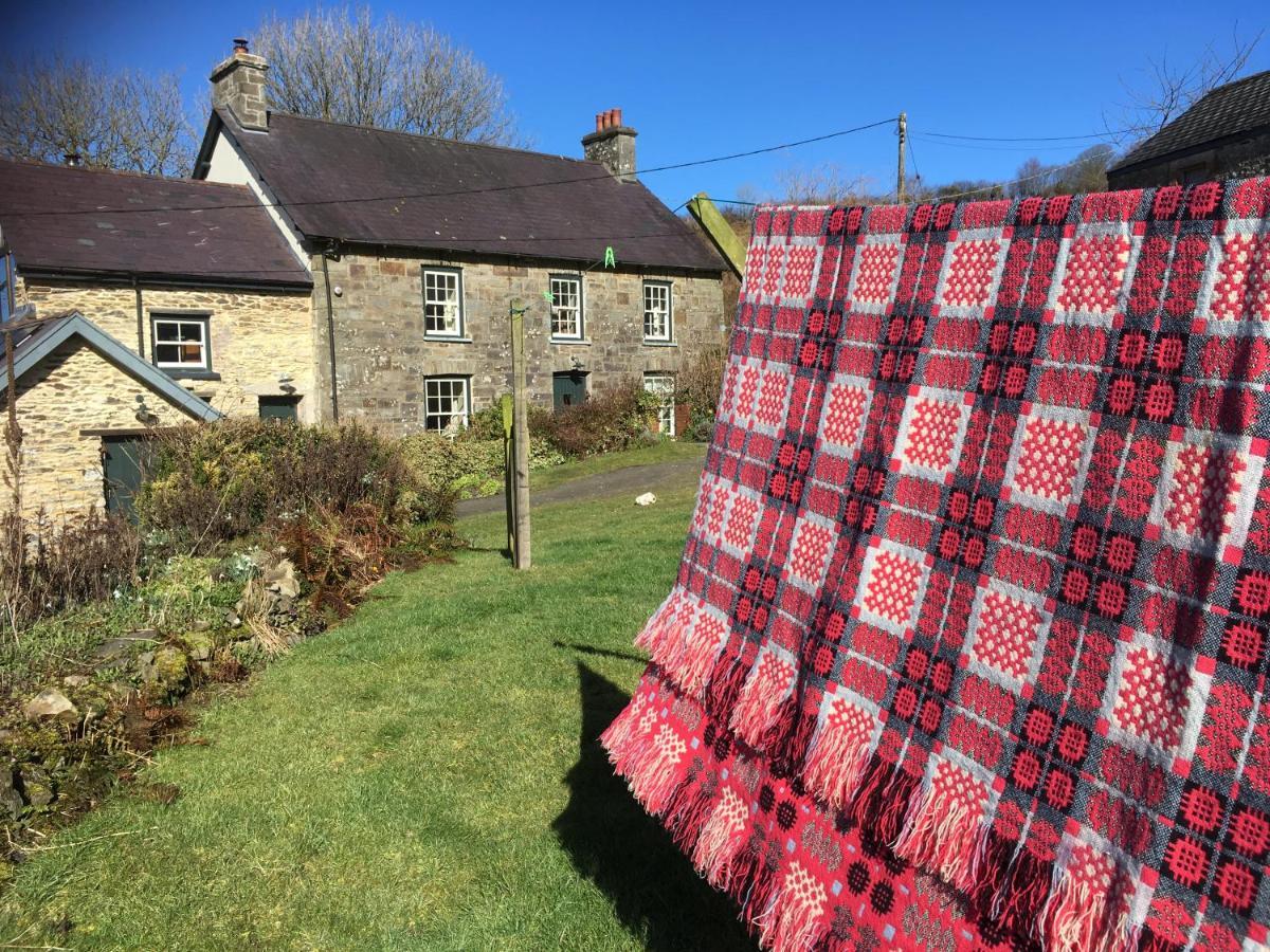 Villa Nantgwynfaen Organic Farm Wales Llandysul Esterno foto