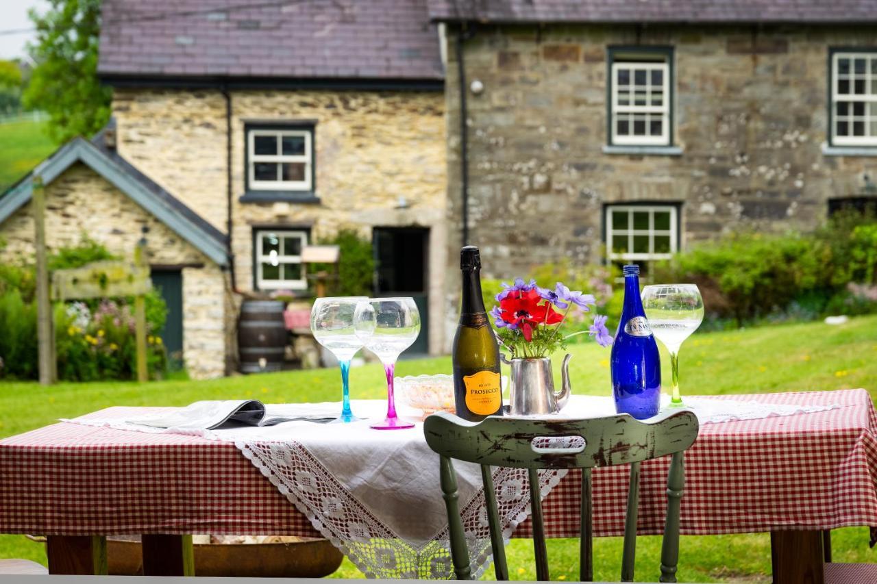 Villa Nantgwynfaen Organic Farm Wales Llandysul Esterno foto