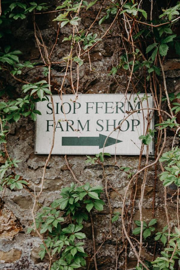 Villa Nantgwynfaen Organic Farm Wales Llandysul Esterno foto
