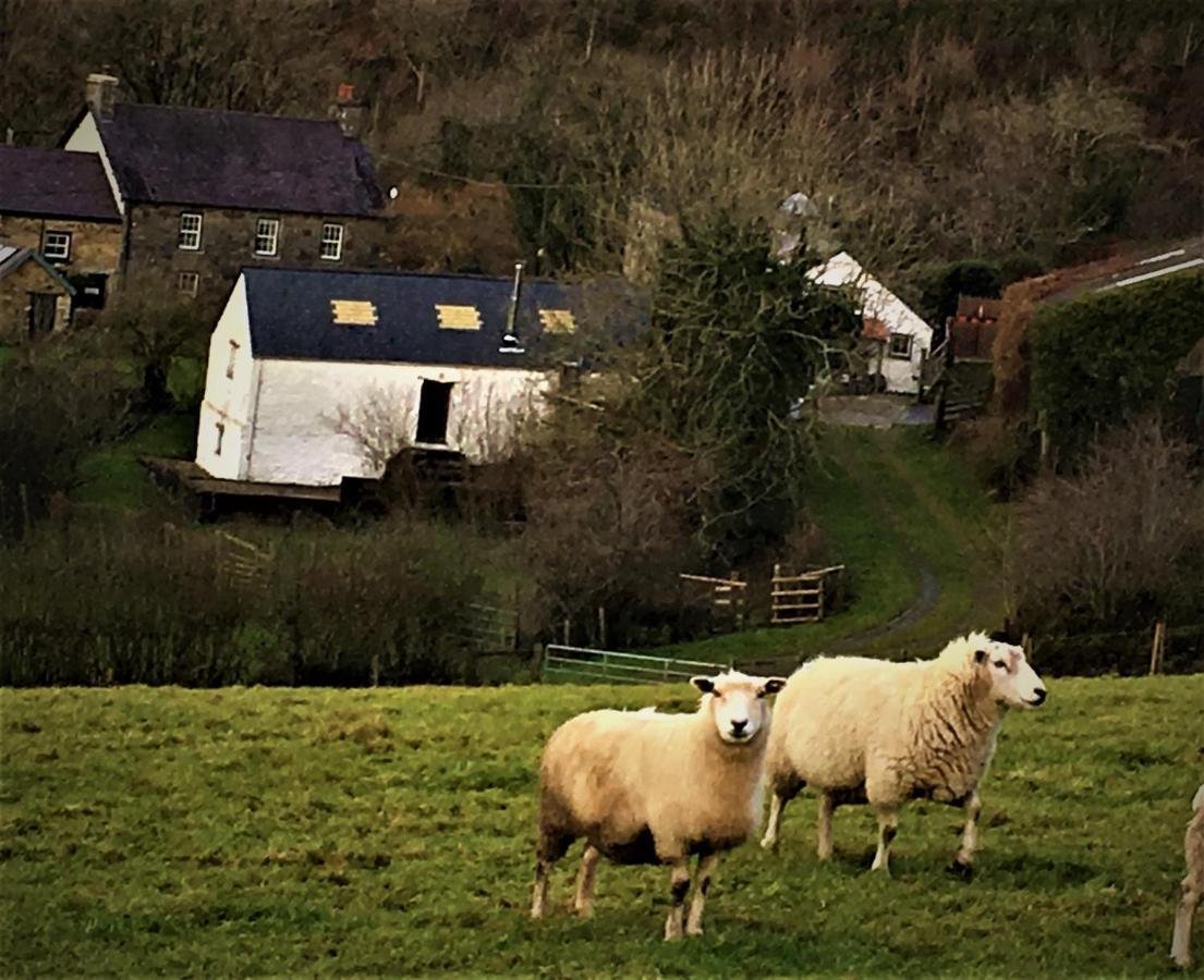 Villa Nantgwynfaen Organic Farm Wales Llandysul Esterno foto