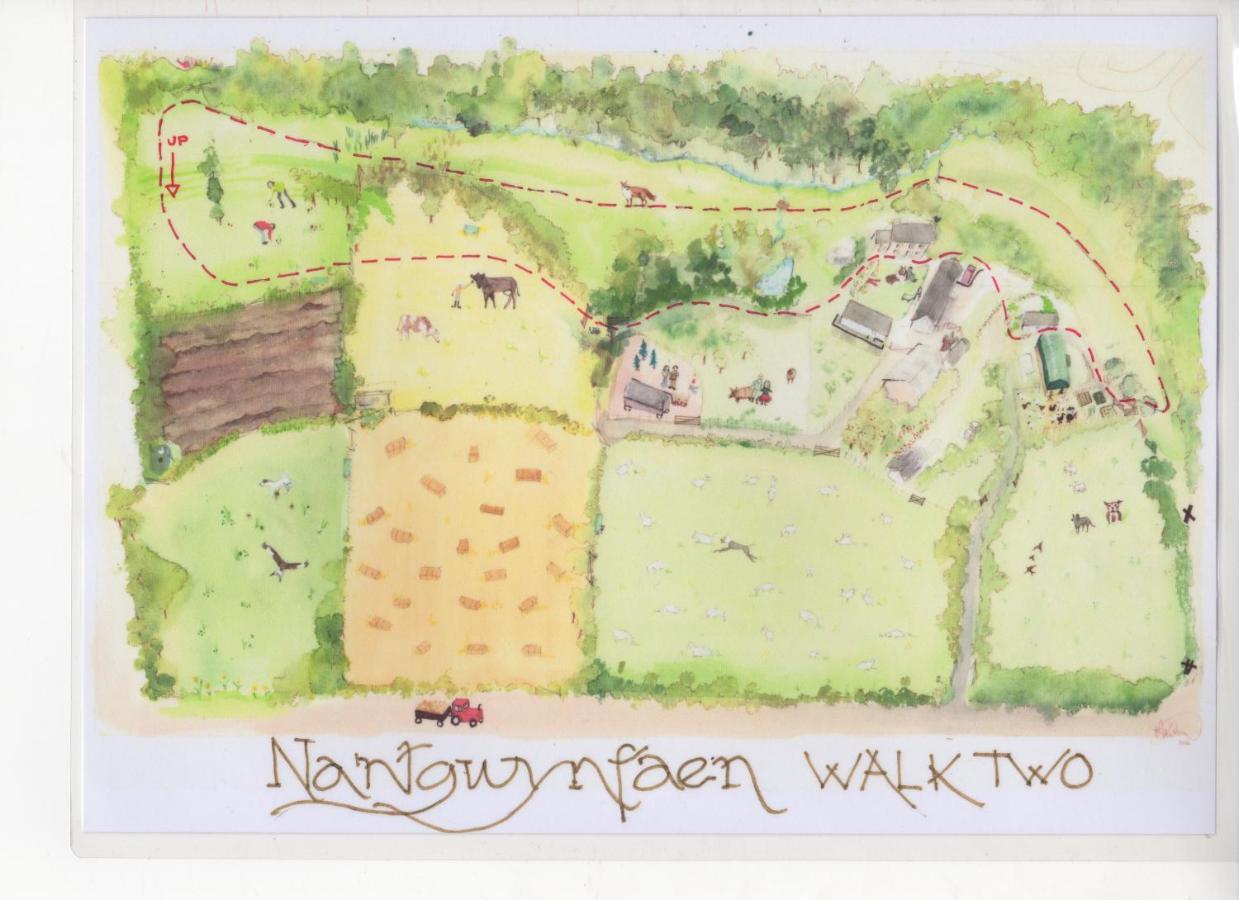 Villa Nantgwynfaen Organic Farm Wales Llandysul Esterno foto