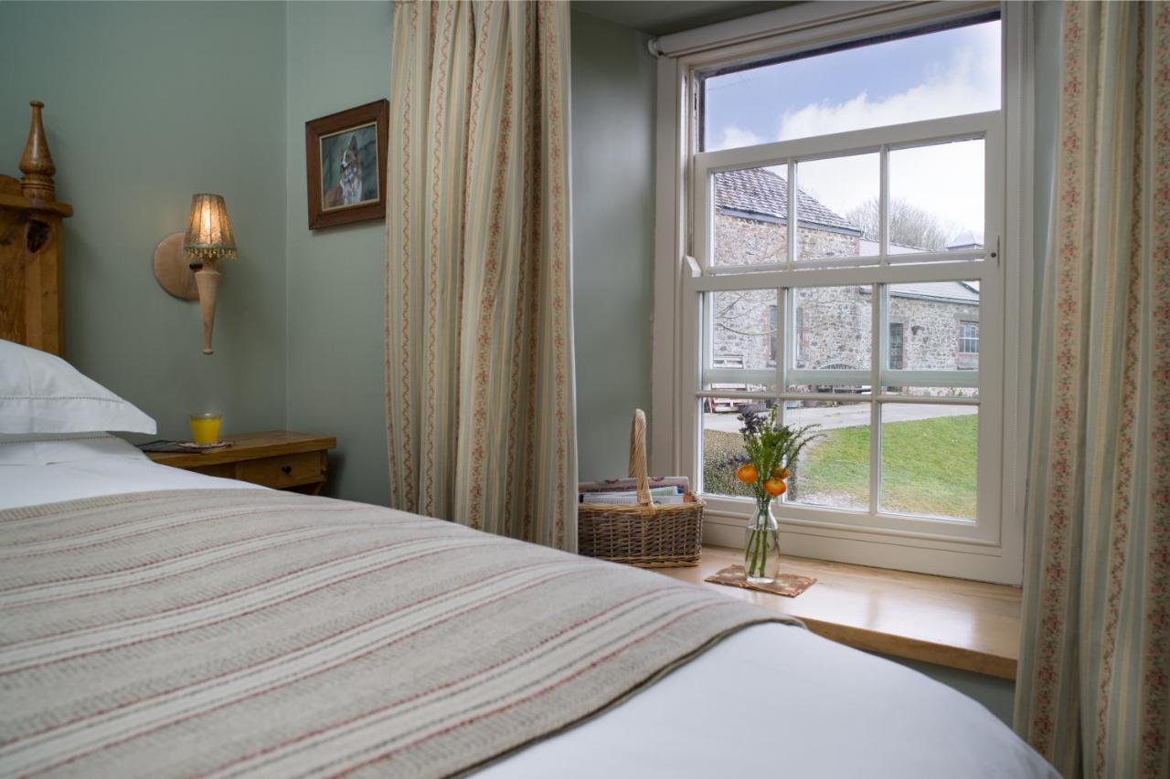 Villa Nantgwynfaen Organic Farm Wales Llandysul Esterno foto