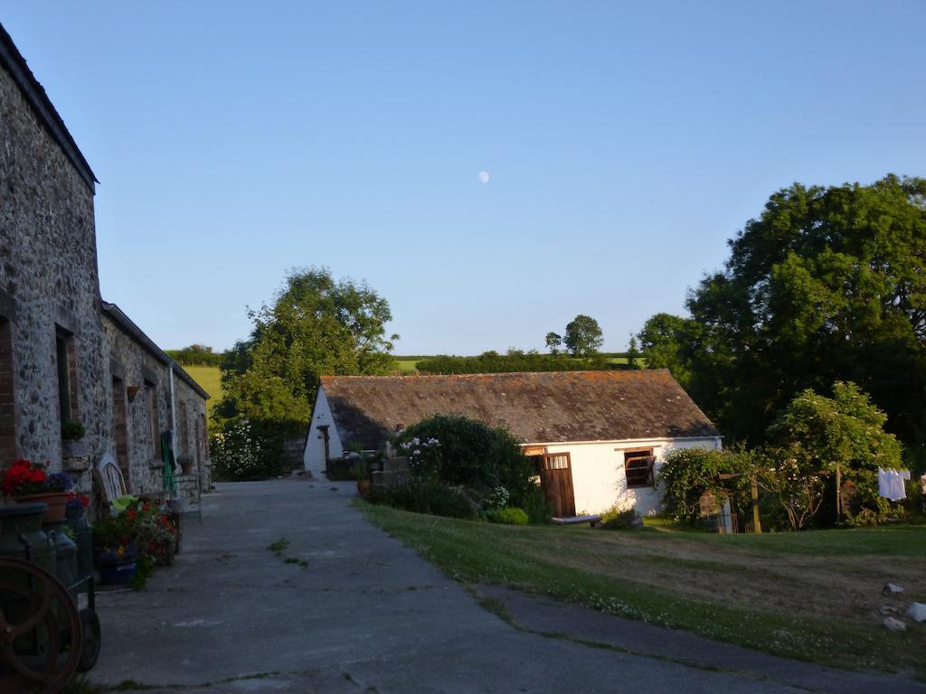 Villa Nantgwynfaen Organic Farm Wales Llandysul Esterno foto