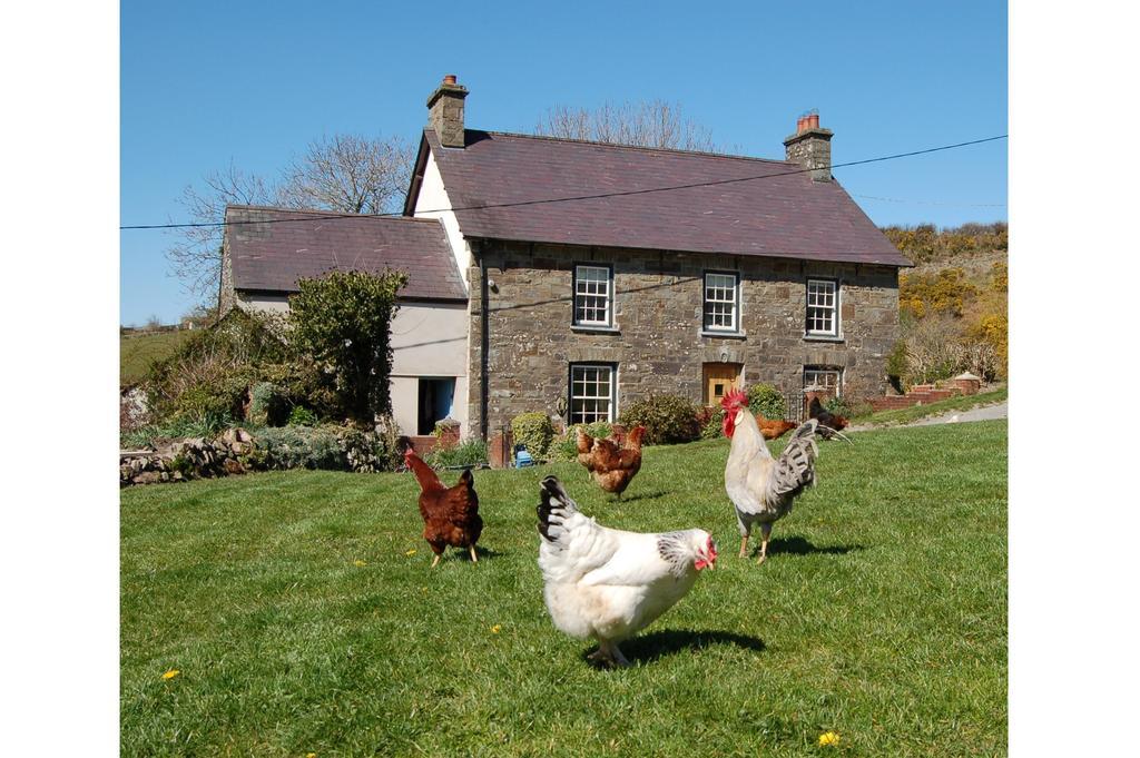 Villa Nantgwynfaen Organic Farm Wales Llandysul Esterno foto