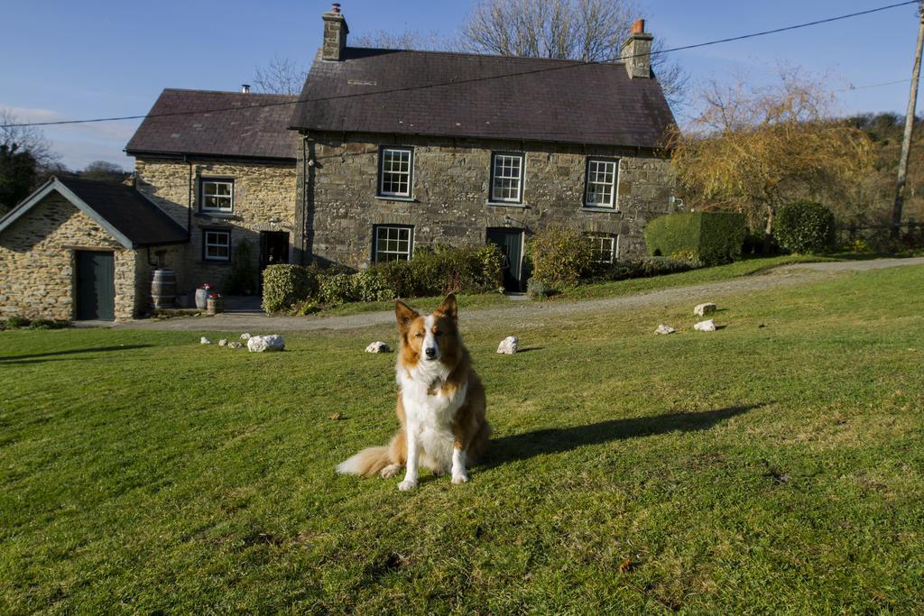 Villa Nantgwynfaen Organic Farm Wales Llandysul Esterno foto